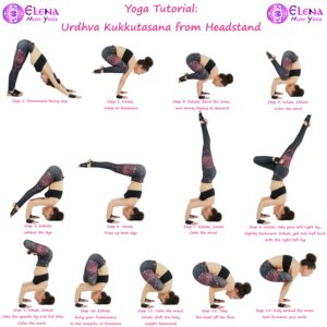 13 STEPS TO URDHVA KUKKUTASANA – Elena Miss Yoga