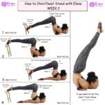 CHIN AND CHEST STAND A B C COURSE - CLASS 2