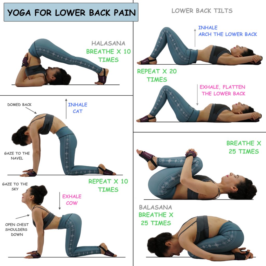 YOGA FOR LOWER BACK PAIN – Elena Miss Yoga