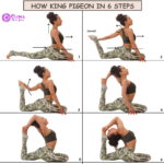 HOW TO KING PIGEON IN 6 STEPS