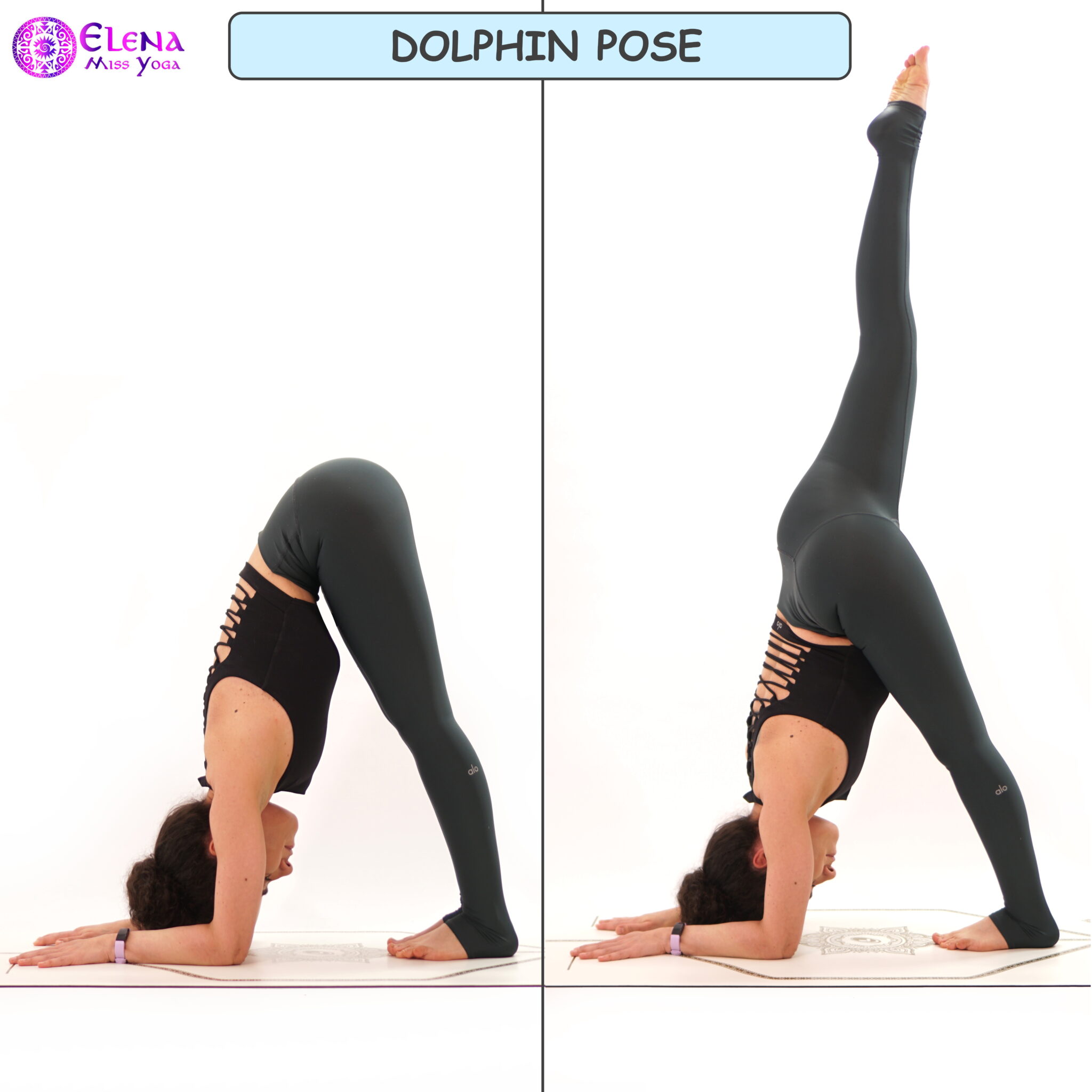 Дельфин йога. Поза дельфина в йоге техника. Dolphin pose. Поза дельфина в йоге фото.