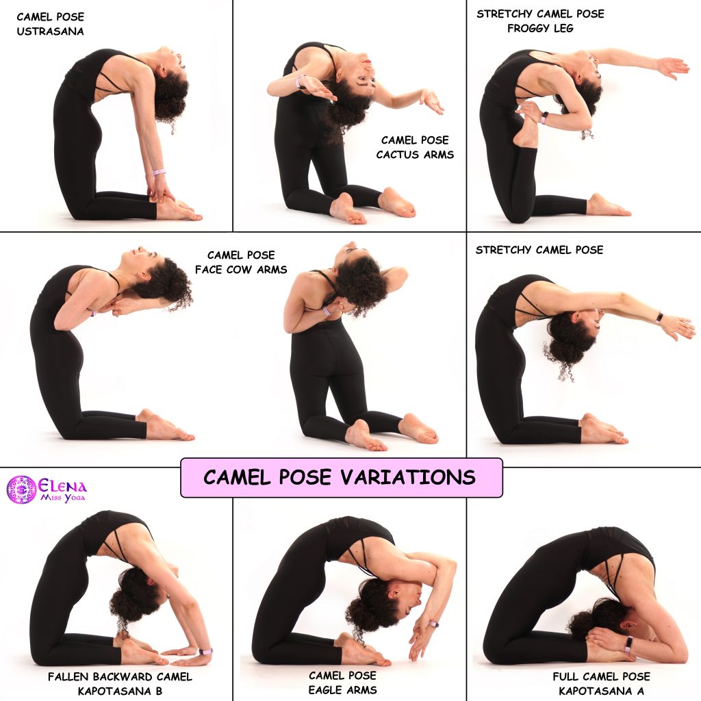 CAMEL POSE VARIATIONS – Elena Miss Yoga